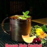 Old Fashioned Cocktails- Moscow Mule Cocktail