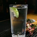 Blog Old Fashioned Cocktails- Gin Tonic