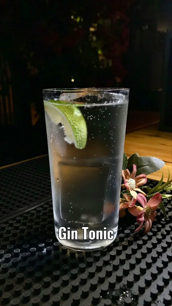 Blog Old Fashioned Cocktails- Gin Tonic